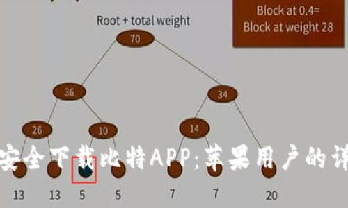 : 如何安全下载比特APP：苹果用户的详细指南