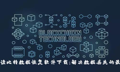 全面解读比特数据恢复软件下载：解决数据丢失的最佳选择