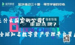 比特派钱包是什么国家的公司？比特派钱包：全