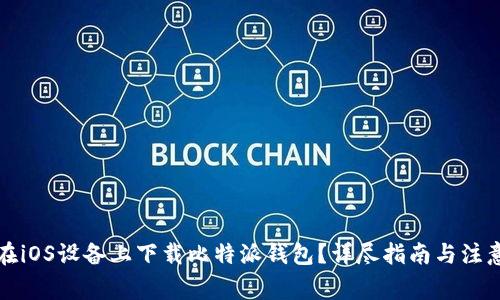 如何在iOS设备上下载比特派钱包？详尽指南与注意事项