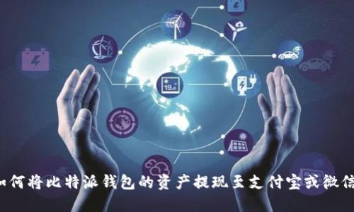如何将比特派钱包的资产提现至支付宝或微信？