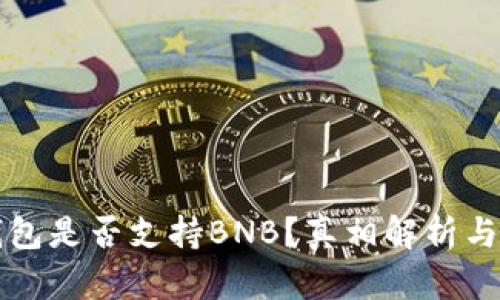 比特派钱包是否支持BNB？真相解析与使用指南
