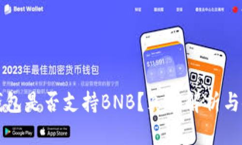 比特派钱包是否支持BNB？真相解析与使用指南