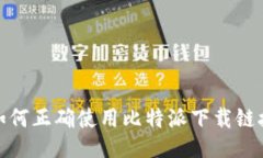 如何正确使用比特派下载链接