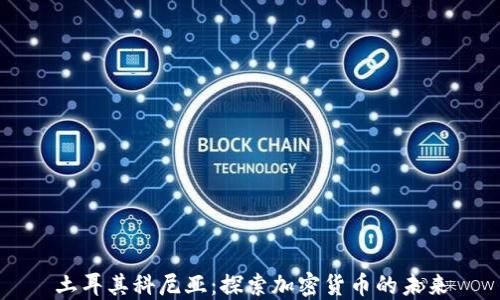 
土耳其科尼亚：探索加密货币的未来