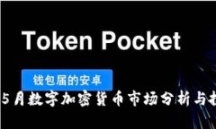 2023年5月数字加密货币市场分析与投资策略