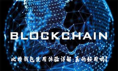 比特钱包使用体验详解：真的好用吗？