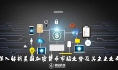 深入解析美国加密货币市场走势及其未来走向