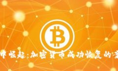 从崩溃中崛起：加密货币成功恢复的案例分析