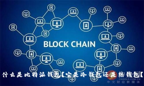 什么是比特派钱包？它是冷钱包还是热钱包？