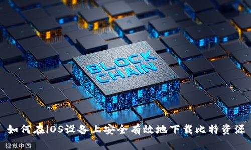 如何在iOS设备上安全有效地下载比特资源