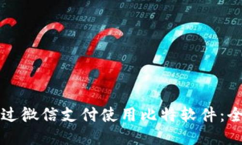 如何通过微信支付使用比特软件：全面指南