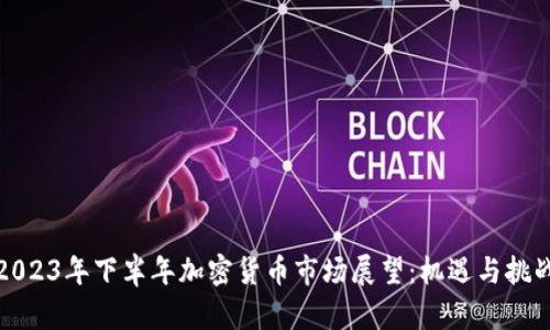 2023年下半年加密货币市场展望：机遇与挑战