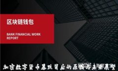 加密数字货币暴跌背后的原因与未来展望