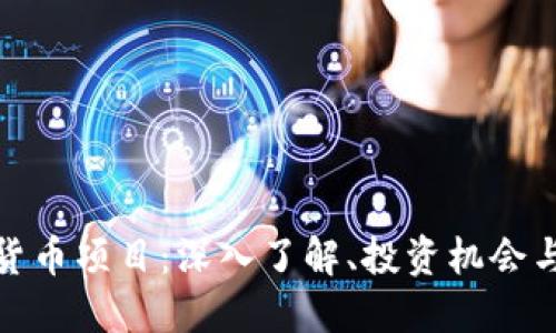 加密数字货币项目：深入了解、投资机会与风险管理