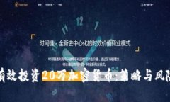 如何有效投资20万加密货币：策略与风险管理