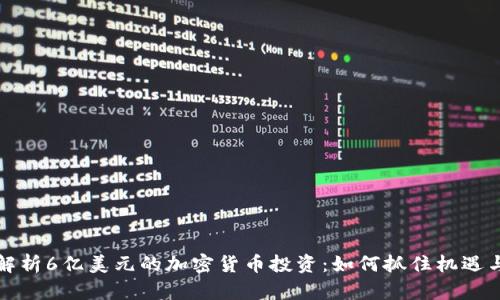 深入解析6亿美元的加密货币投资：如何抓住机遇与挑战