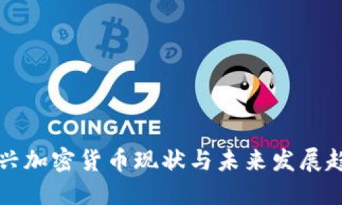 新兴加密货币现状与未来发展趋势