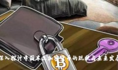 深入探讨中国本土加密货币的现状与未来发展
