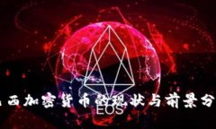 巴西加密货币的现状与前景分析