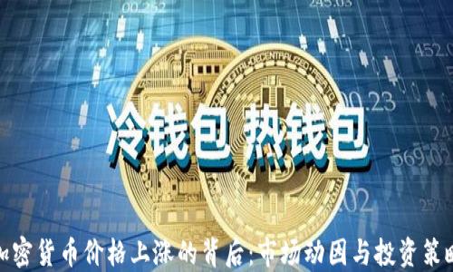 
加密货币价格上涨的背后：市场动因与投资策略