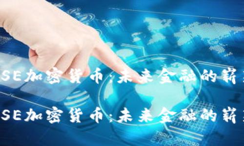 通过DSE加密货币：未来金融的崭新视角

通过DSE加密货币：未来金融的崭新视角