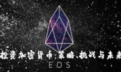 马劳投资加密货币：策略、挑战与未来发展