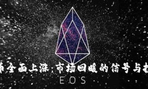 加密货币全面上涨：市场回暖的信号与投资机会