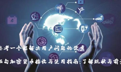 思考一个能解决用户问题的优秀

缅甸加密货币接收与使用指南：了解现状与前景