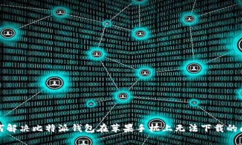 如何解决比特派钱包在苹果手机上无法下载的问题