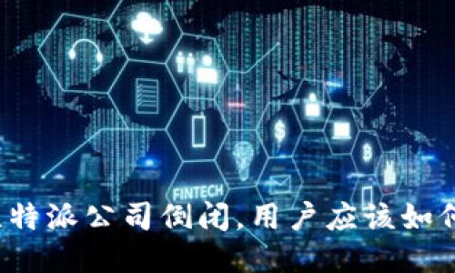 如果比特派公司倒闭，用户应该如何应对？