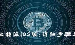 如何成功安装比特派iOS版：详细步骤与常见问题