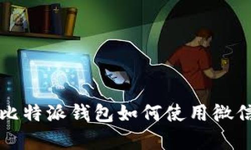 深入解析比特派钱包如何使用微信支付功能