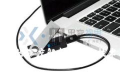比特币与兀币的深度解析：投资、技术与未来趋