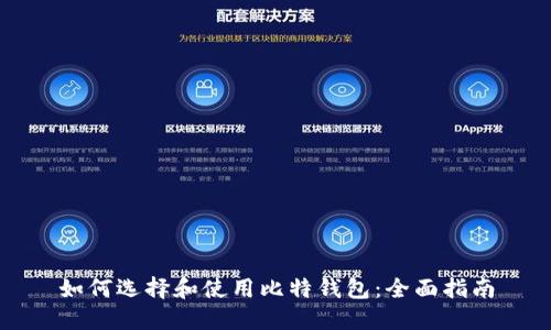 如何选择和使用比特钱包：全面指南