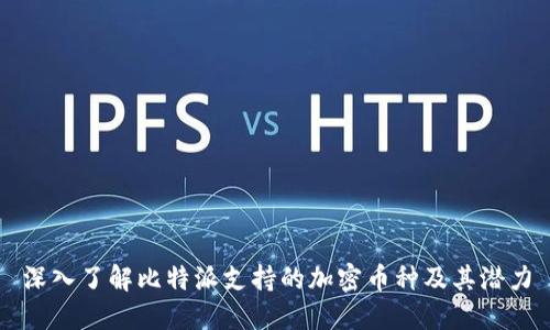 深入了解比特派支持的加密币种及其潜力