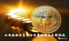 比特数据恢复软件收费分析及选择指南