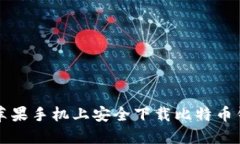 如何在苹果手机上安全下载比特币钱包应用