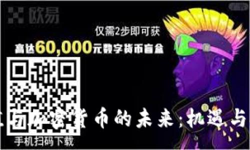 :
美元贬值与加密货币的未来：机遇与挑战分析