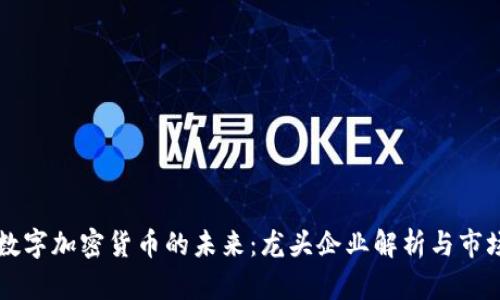 中国数字加密货币的未来：龙头企业解析与市场前景