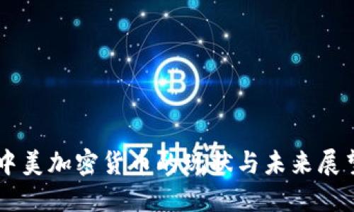 中美加密货币的现状与未来展望