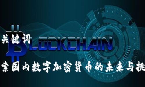 与关键词
探索国内数字加密货币的未来与挑战