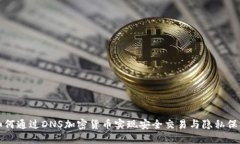 如何通过DNS加密货币实现安全交易与隐私保护