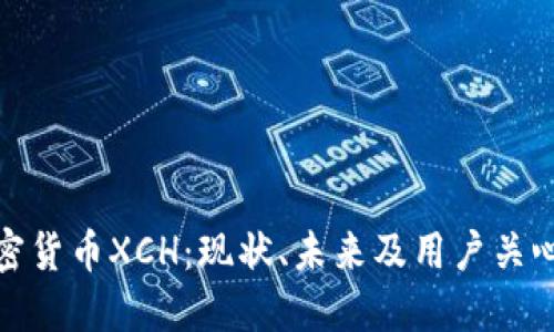 探索加密货币XCH：现状、未来及用户关心的问题
