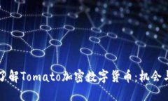 深入了解Tomato加密数字货币：机会与挑战