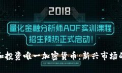 如何选择和投资唯一加密货币：新兴市场的黄金