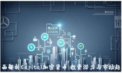  全面解析Capital加密货币：投资潜力与市场趋势