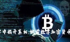 在数字货币的迷雾中揭开真相：姚前数字加密货