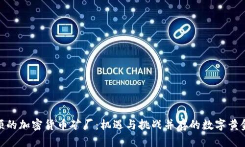 休斯顿的加密货币矿厂：机遇与挑战并存的数字黄金之地