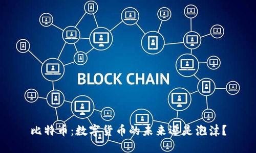 比特币：数字货币的未来还是泡沫？